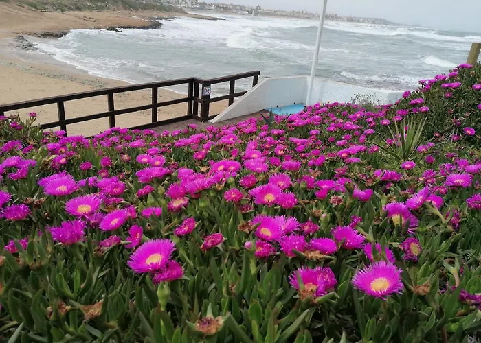 Lägenhet The House Of Secrets *