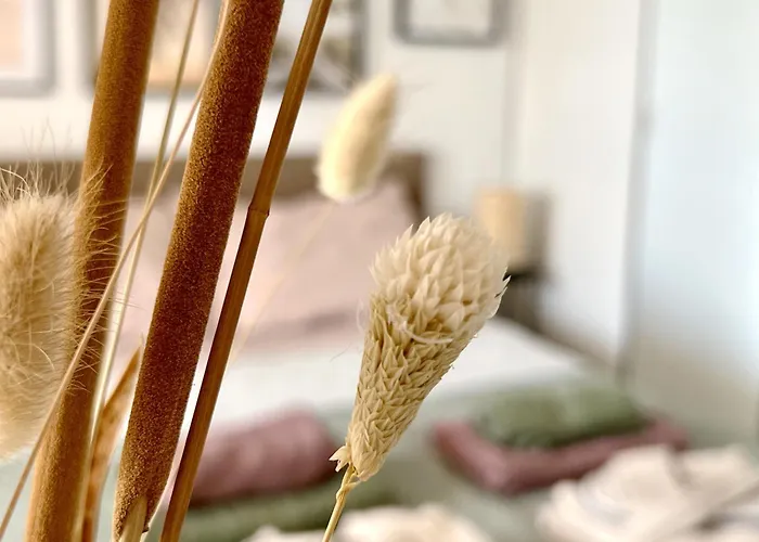 The House Of Secrets Lägenhet Torrevieja