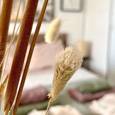 The House Of Secrets شقة تورّيفيِخا