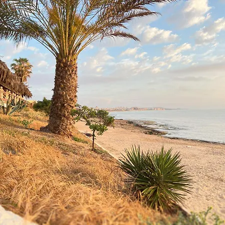 The House Of Secrets * Torrevieja